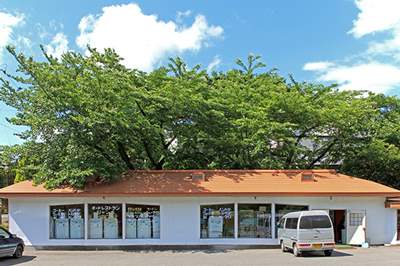 岩手県 二戸市 ジャンボ